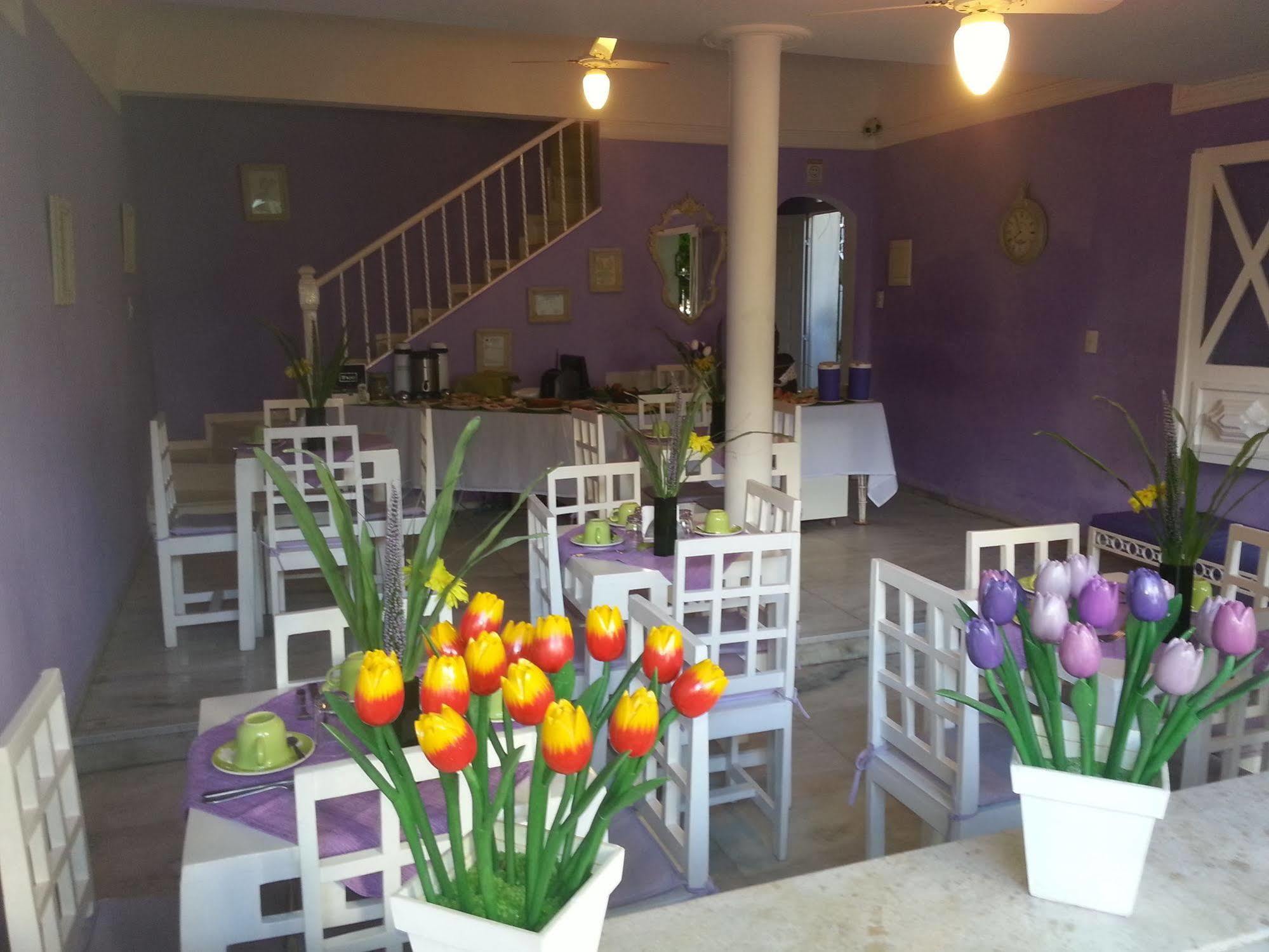 Hotel Pousada Papaya Verde Σαλβαντόρ Εξωτερικό φωτογραφία