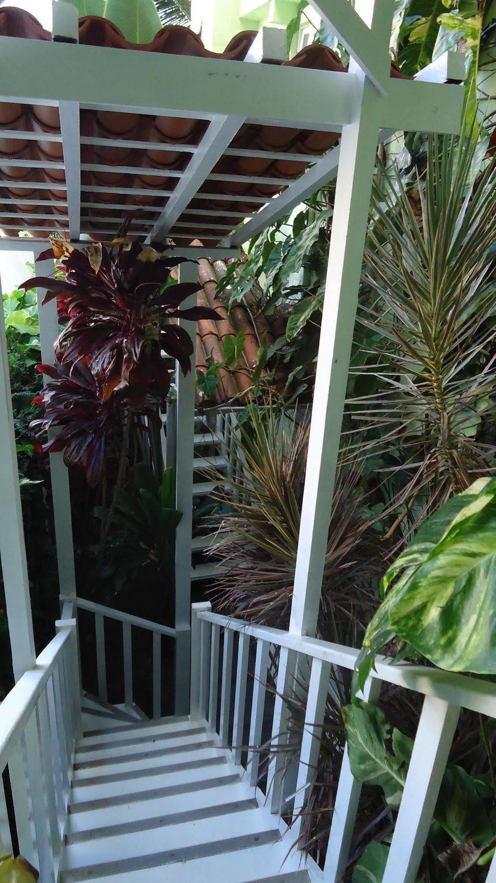 Hotel Pousada Papaya Verde Σαλβαντόρ Εξωτερικό φωτογραφία